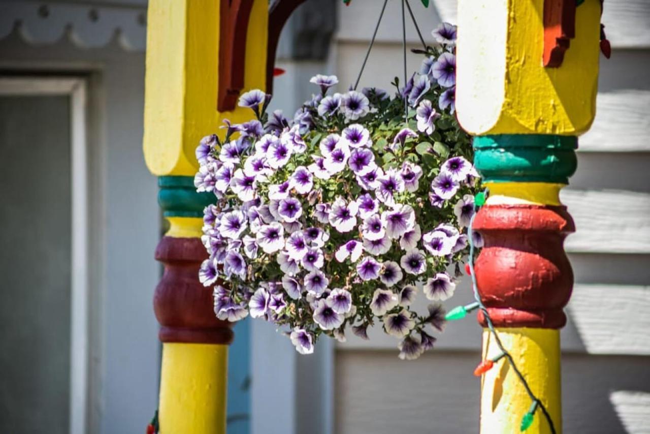 Dog Friendly Private W Hot Tub Leadville-a Ferienhaus Leadville